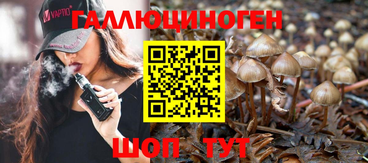 Галлюциногенные грибы GOLDEN TEACHER  Вход с VPN  Лыткарино 